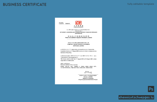 Beispiel für eine Lizenz als Dienstleister für chinesische Treuhand- oder Unternehmensdienstleistungen